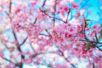 https://images.plurk.com/76ZQI2C1vmAcR5UNTBRyb.jpg