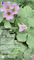 https://images.plurk.com/76fasv899BtqKdyO6gz7DN.jpg