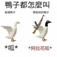 https://images.plurk.com/76ldwOne6W1X41IqEXZpKP.jpg