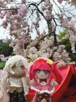 https://images.plurk.com/76md30iQaCZ9r7famrfYSt.jpg