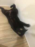 https://images.plurk.com/76sE6KRysuzHsdsHuWcv9h.jpg
