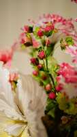 https://images.plurk.com/770C41TopZce7YFnKobd8v.jpg