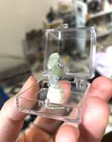 https://images.plurk.com/770y7Se50ok7OS2pKpFgKi.jpg