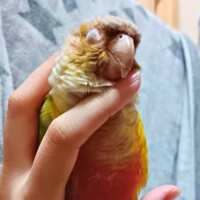 https://images.plurk.com/772ImIjTfakvMMrJc7dKQU.png