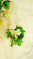 https://images.plurk.com/773ig0gNi1uwAScjB20C0w.jpg