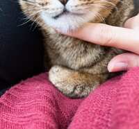 https://images.plurk.com/77FGSnmbWcyOcbcCn5Fk0Q.jpg