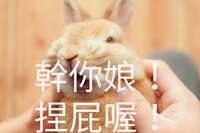https://images.plurk.com/77UEZ8BMZJO0TS25fmA8Zm.jpg