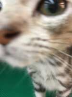 https://images.plurk.com/77Vz0o3C6k6xt2QRzfzGK5.jpg