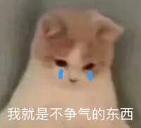 https://images.plurk.com/77gXX00raggaD4LbBgY9S6.jpg
