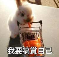 https://images.plurk.com/77hGrcVMzNSEyIPhESrhsy.jpg