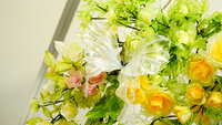 https://images.plurk.com/77lMt9zpwODSnpiA5RApmK.jpg