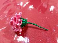 https://images.plurk.com/77qtisepdW15irDQcwzAMV.jpg