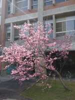 https://images.plurk.com/785I9bxSZQ0gSAY8DgRrvZ.jpg