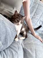 https://images.plurk.com/785Q0Nus2lvj5ddoTHGTlZ.jpg