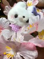https://images.plurk.com/787MW8ttKwuxXnuxznnAYB.jpg