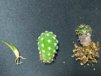https://images.plurk.com/78L1r7e9Jg0J0SVyS2PydV.jpg