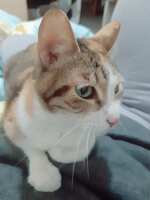 https://images.plurk.com/78Roa0PIcT1YjtYcMlkWQF.jpg