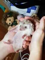 https://images.plurk.com/78ay1VH9SIabHpgGQqDn83.jpg