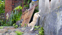 https://images.plurk.com/790GHgzaPmRwLeVPxRUKBo.jpg