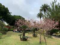https://images.plurk.com/796yjplCmT4c3I8Na509O1.jpg