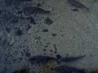 https://images.plurk.com/797nrPwUcHhfJlXOm92fw1.jpg