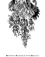 https://images.plurk.com/797zA1PyVYO2674IGv77OT.jpg