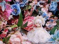 https://images.plurk.com/79DKbz9AaYCK5hpIghdXS8.jpg