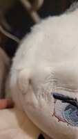 https://images.plurk.com/79Ha5j0s4mhV9JFyoY4dQb.jpg