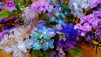 https://images.plurk.com/79INmD8awpbctyOUwJA7mq.jpg