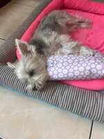 https://images.plurk.com/79Tu303zaEa5FqZ5tCsQyN.jpg