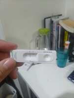 https://images.plurk.com/79U0mmuiO280tFdGU56DXY.jpg