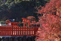 https://images.plurk.com/79ZjAYGd5hnffmnvPuuy6A.jpg