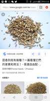 https://images.plurk.com/79cfKyuFu7Q0qJQCAKvwZb.jpg