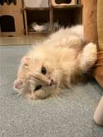 https://images.plurk.com/79ilSkvNAWJRGOEYyOjkD0.jpg