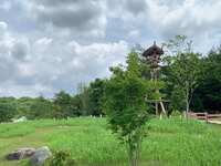 https://images.plurk.com/7AHHx5FN03d503cwFpJnBS.jpg