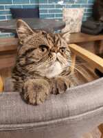 https://images.plurk.com/7AJ9riRj73eTcYEOPprLxt.jpg