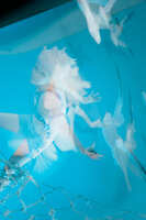https://images.plurk.com/7AJthxivgy2hzKPR041rrg.jpg