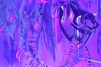 https://images.plurk.com/7AWIYwXgsY2TlHyZtaPf1u.jpg