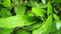 https://images.plurk.com/7AWLxQqa88iBl7lqtsgeZN.jpg