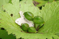 https://images.plurk.com/7Aisl6TzMKifQxqmm84JJg.jpg