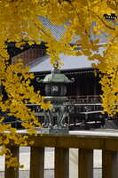 https://images.plurk.com/7ApBvg9uVhIrWyocj4teJz.jpg