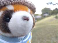 https://images.plurk.com/7AqZCZ7rmBXYNDn11ozKWD.jpg