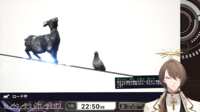 https://images.plurk.com/7AsqgSUoUwox67Lz8xJVHk.png
