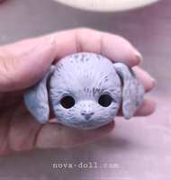 https://images.plurk.com/7AyM5idKK5SlJr3jnpI5sL.jpg