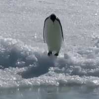 https://images.plurk.com/7B9U3ARfYLPWIX2ygEjLnL.gif