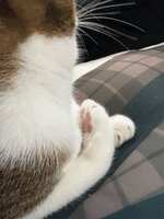 https://images.plurk.com/7B9dx5IvZY4QSw4NxbtWd7.jpg