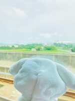 https://images.plurk.com/7BBAMnCIGqGqvACZma6JSY.jpg