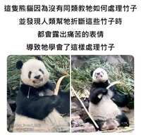 https://images.plurk.com/7BDab2UZFzU1Lm3b1Cp5pU.jpg