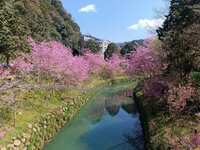 https://images.plurk.com/7BK3SWTIe9Gw0f8avWFWfj.jpg