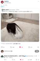 https://images.plurk.com/7BK3YdDy82HFUAxDep3lWP.png